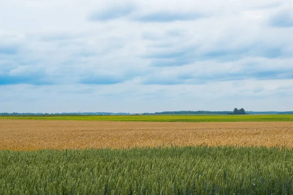 Bulutlu ve tarlalı gökyüzü