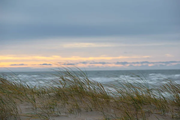 Autumn Palanga Dunes Baltic Sea Background Close Weeds — ストック写真
