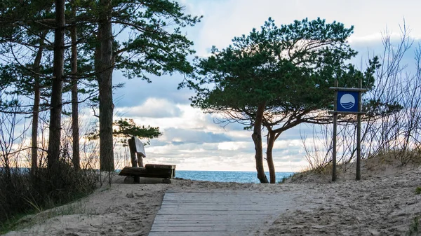 Kum tepelerinde ve çam ağaçlarında