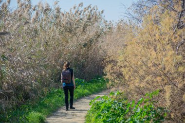 Yüksek kamışlarla yürüyüş yapan bir kadın.