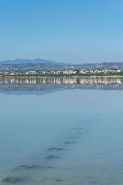 Kıbrıs 'ta Larnaka' nın tuzlu gölünde ayak sesleri