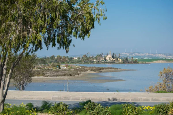 Hala Sultan Tekke, Hz. Muhammed 'in teyzesi Umm Haram' ın mezarı ve Kıbrıs adasındaki Müslüman türbesi.
