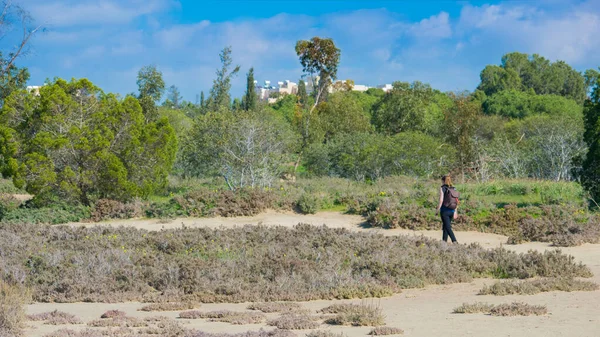 Larnaka parkında yürüyüş yapan bir kadın.