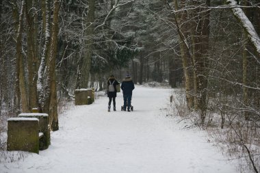 Bebek tekerlekli sandalyesi olan çift kışın kar altında arkadan yürüyor.