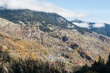 Karlı dağ Ağaçlı Alpler