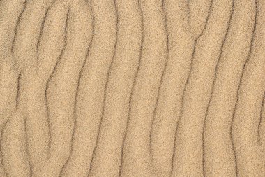 Deniz kumu arka planı temiz sarı dalgalar