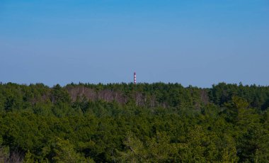 Ufukta sanayi bacası ve mavi gökyüzü olan yeşil orman.