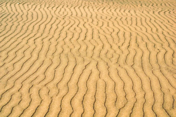 Sea Sand Background Clean Yellow Waves — Stock Photo, Image