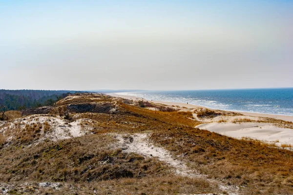 Dunes Baltic Sea Coastline Europe — Stock Photo, Image