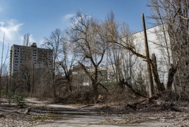 Çernobil 'in Pripyat şehrinde terk edilmiş bir apartman.