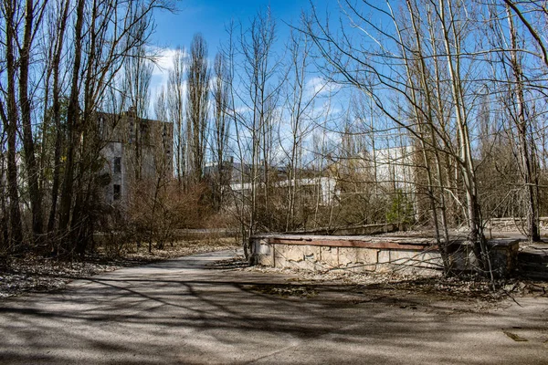 Prypiad Πόλη Στο Τσερνομπίλ Δέντρα Και Εγκαταλελειμμένα Σπίτια 2019 Μάρτιος — Φωτογραφία Αρχείου