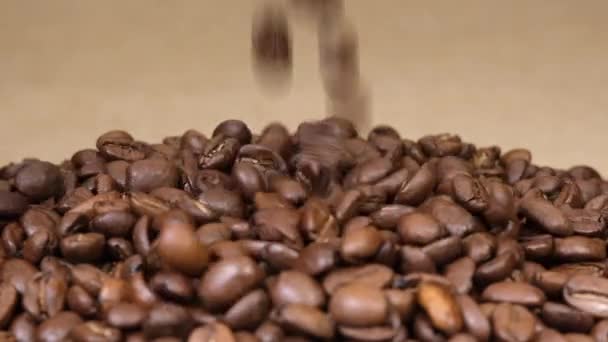阿拉比卡咖啡豆掉落黄麻背景 — 图库视频影像