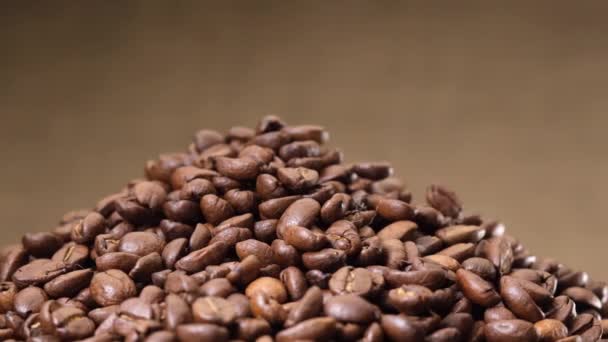 아라비아 커피콩 캔버스 위에서 회전하는 — 비디오