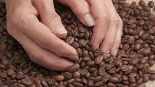 Mano Mujer Dando Granos Café Tostados Agricultura Orgánica Concepto Cosecha — Vídeos de Stock