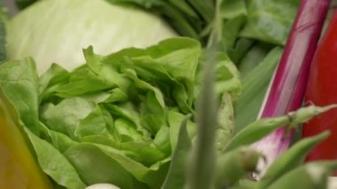 Yeşil salata kıvrımlı marul ve çeşitli karışık sebzeler. Sağlıklı vejetaryen ya da vejetaryen gıdalar, Akdeniz diyeti