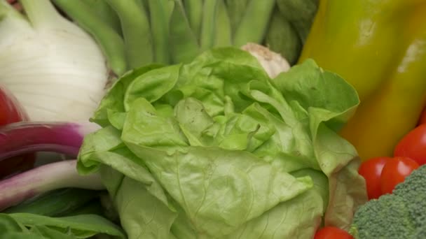 Salade Verte Légumes Salade Rotation Alimentation Végétarienne Végétalienne Régime Méditerranéen — Video