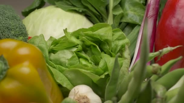 地中海饮食营养 绿色沙拉生菜和杂交种蔬菜 — 图库视频影像