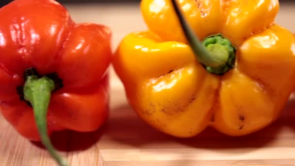 Chili Peppers Exposition Various Colors Species Slider Shot Vegetarian Organic — Stockvideo