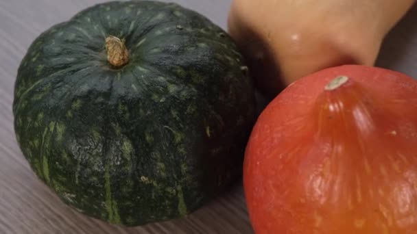 Abóboras Coloridas Girando Grupo Legumes Frescos Saudáveis Comida Abóbora Verde — Vídeo de Stock