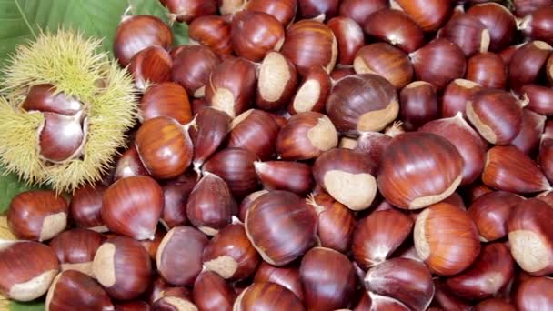 Chestnuts Autumnal Composition Delicious Tasty Vegetarian Vegan Healthy Food Panning — Stockvideo