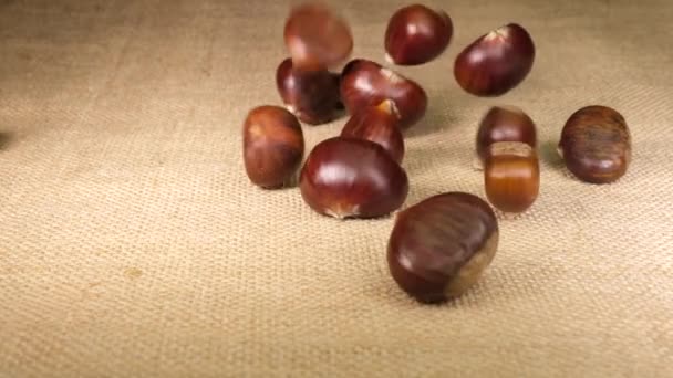 Chestnuts Falling Jute Background Slow Motion Autumn Seasonal Food Mediterranean — Αρχείο Βίντεο