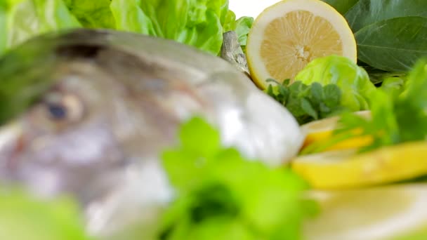 レモン パセリ サラダの生鯛 レストランや家庭用キッチン 集中力のソフトチェンジ — ストック動画