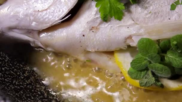 Cooking Bream Fish Pan Oil Lemon Parsley Mediterranean Kitchen Healthy — Stockvideo