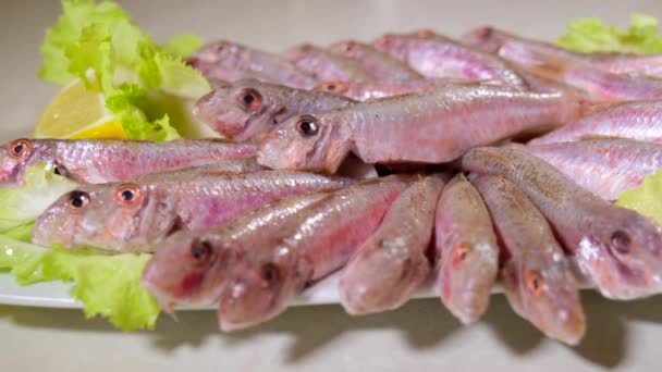 Peixe Tainha Cru Pronto Para Cozinhar Marisco Fresco Saudável Proteína — Vídeo de Stock
