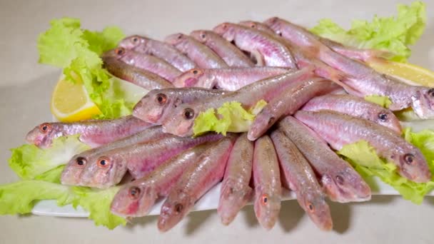 Raw Mullet Fish White Background Fresh Seafood Healthy Protein Tasty — Stockvideo
