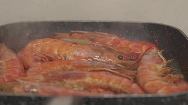 Camarones Argentinos Rojos Cocinando Una Sartén — Vídeos de Stock