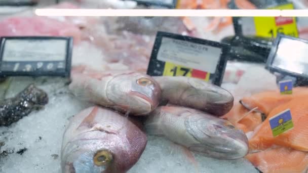 Satılık Taze Balık Balık Dükkanında Sergi Markette Buzda Çiğ Deniz — Stok video