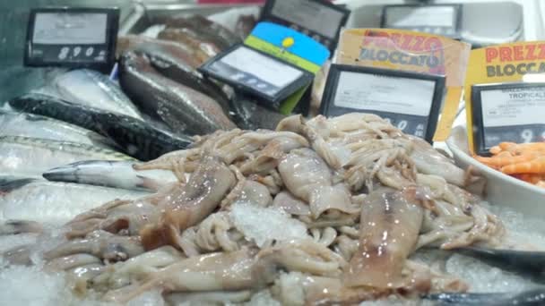 Fresh Fish Exposition Fish Shop Raw Seafood Ice Market Fish — Αρχείο Βίντεο