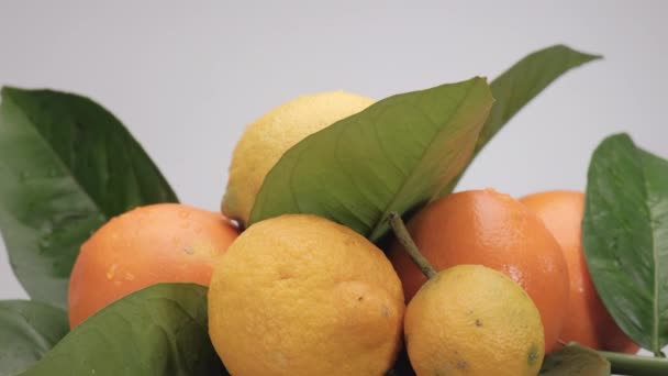 柑橘系のレモンとオレンジが白を背景に回転 — ストック動画
