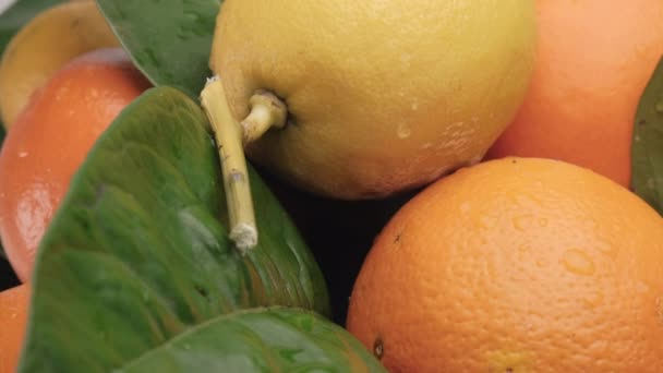 Zitrusfrüchte Zitrone Und Orange Aus Nächster Nähe Bunte Gesunde Mischkost — Stockvideo
