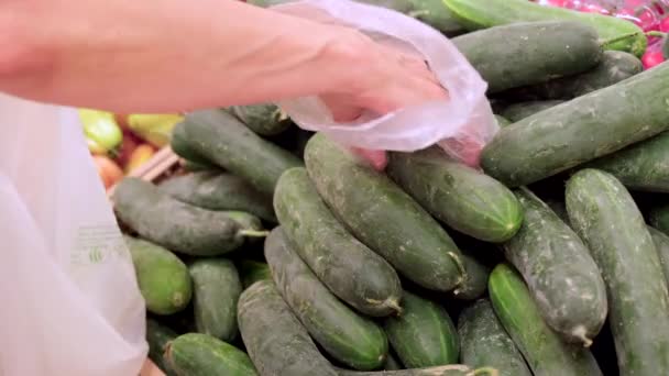 Picking Cucumber Vegetables Market Hand Choosing Healthy Vegetarian Food Grocery — Wideo stockowe