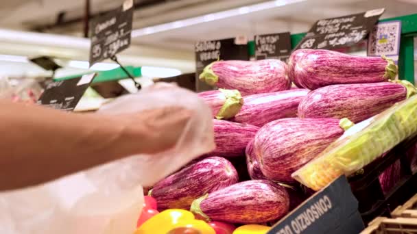 Cueillette Aubergines Épicerie Main Client Choisissant Aubergine Sur Marché Ralenti — Video