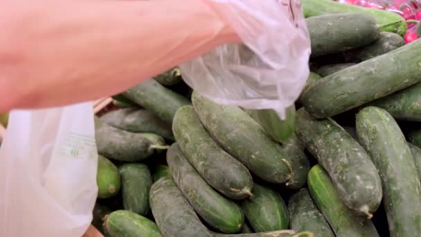 Picking Cucumber Vegetables Market Hand Choosing Healthy Vegetarian Food Grocery — Stockvideo