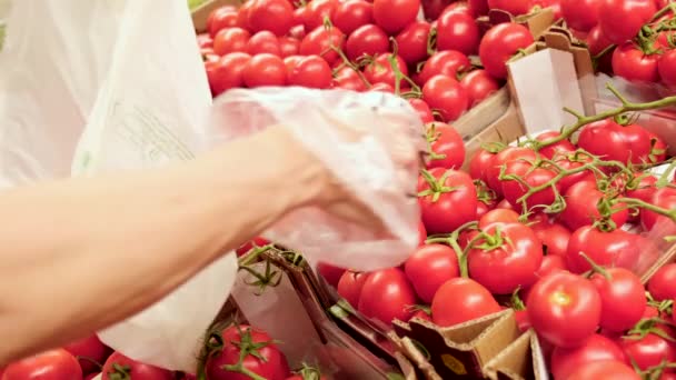 Colheita Tomate Mercearia Alimentos Saudáveis Vegetais Supermercado Mão Escolher Tomate — Vídeo de Stock