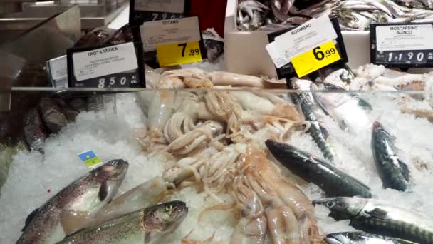 Fishmonger Picking Squid Fish Fish Market Buying Fish Fish Shop — Wideo stockowe