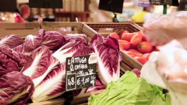 Recogiendo Radicchio Tienda Comestibles Selección Manual Achicoria Mercado Cámara Lenta — Vídeos de Stock