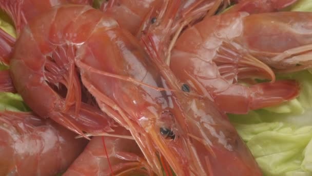 Camarones Argentinos Rojos Mariscos Rotando Ensalada Camarones Mariscos Camarón Plato — Vídeo de stock