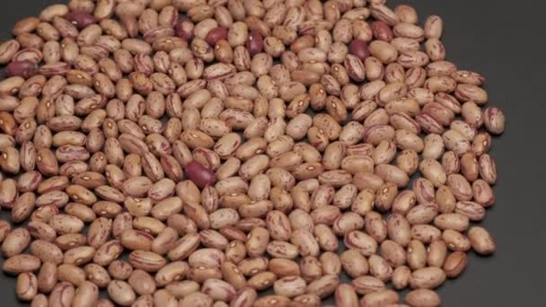Red Dry Beans Legumes Rotating Mediterranean Nutrition Healthy Diet Vegan — Stockvideo