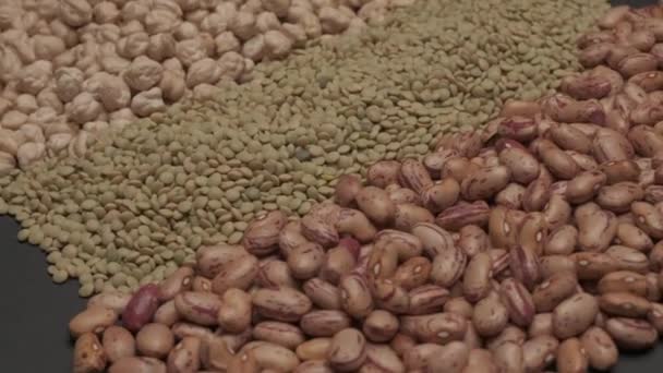 Dry Legumes Rotating Beans Lentils Chickpeas — Stock Video