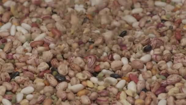 Dry Legumes Dry Beans Falling Vegan Vegetarian Food Mediterranean Diet — Vídeos de Stock