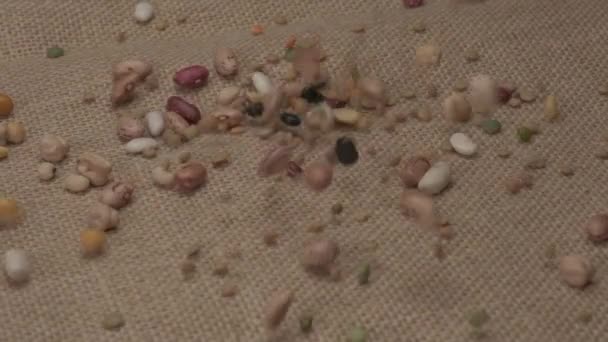 Dry Legumes Mixed Beans Falling Slow Motion — Stock Video