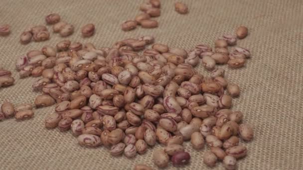Dry Beans Borlotti Rotating Jute Canvas — Video Stock