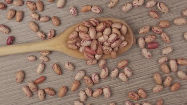 Legumbres Frijoles Borlotti Rojos Cuchara Madera Dieta Mediterránea Nutrición Saludable — Vídeos de Stock