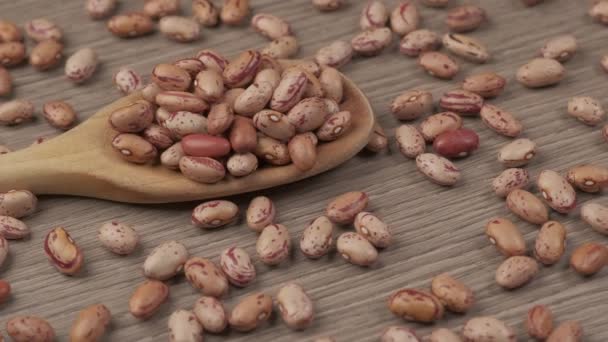 Dry Red Beans Wooden Spoon Vegan Vegetarian Protein Source Rotating — Vídeo de Stock