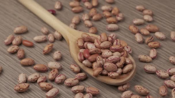Red Dry Beans Wooden Spoon Vegan Vegetarian Ingredient Healthy Food — Stock Video