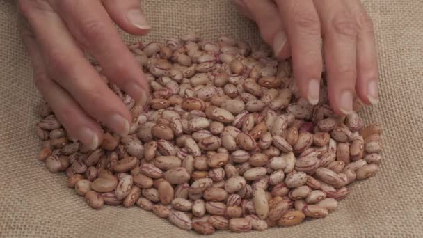Organic Agriculture Hand Giving Dry Red Beans Legumes Healthy Nutritious — Vídeo de Stock